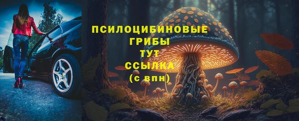 прущий лед Костерёво