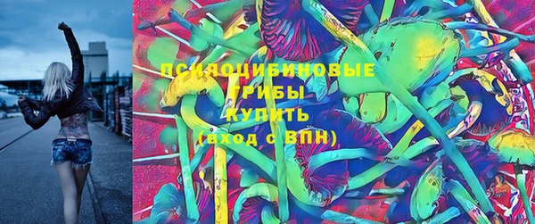 соль курить ск Козловка