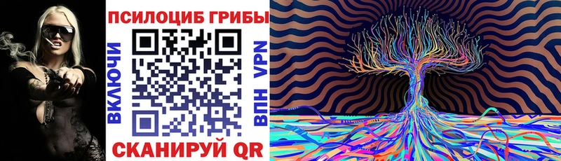 Купить где  Ельня  Галлюциногенные грибы Magic Shrooms 